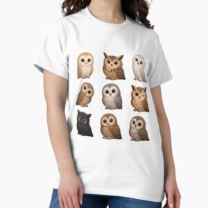 Cute Kawaii Owl Collection
